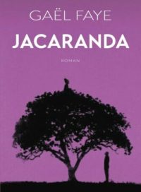 jacaranda